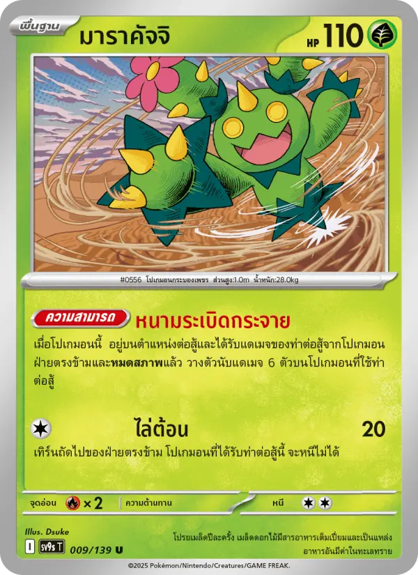 มาราคัจจิ