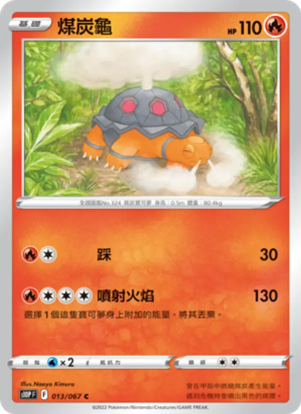 煤炭龜