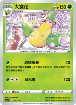 大食花