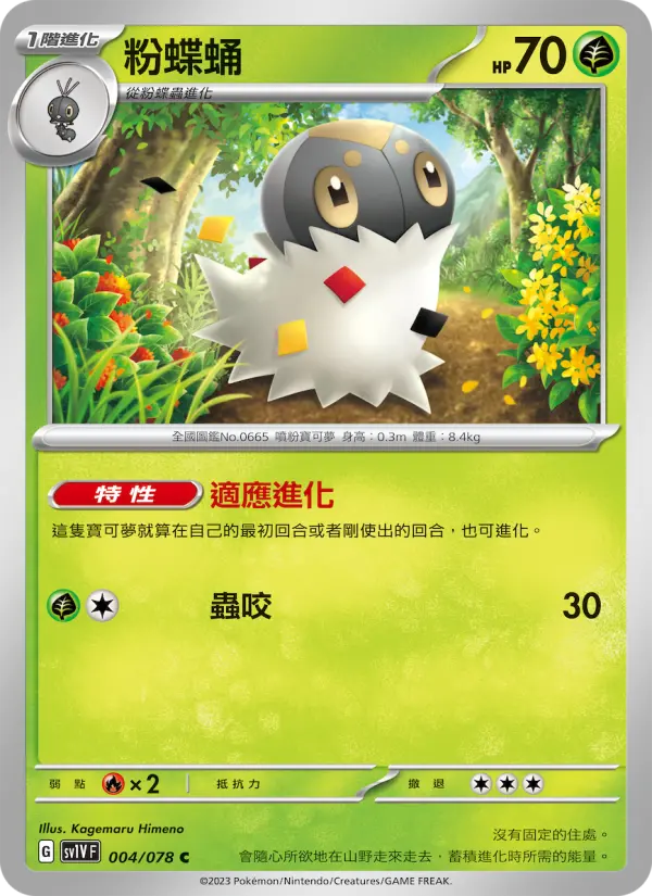 粉蝶蛹