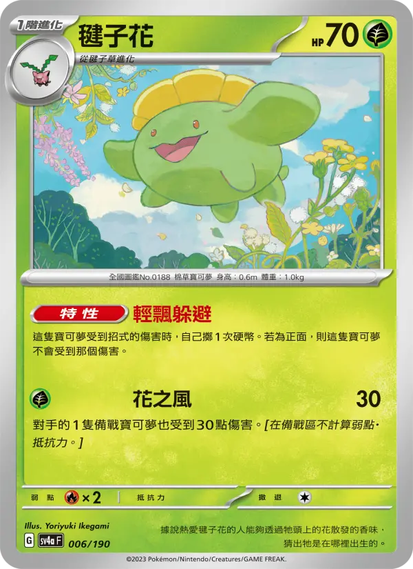毽子花