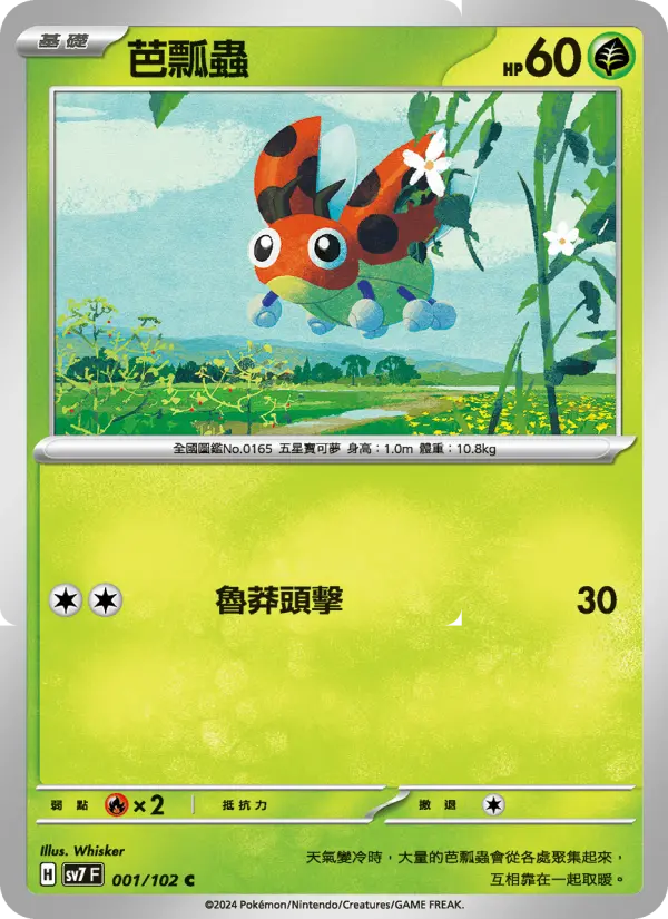 芭瓢蟲